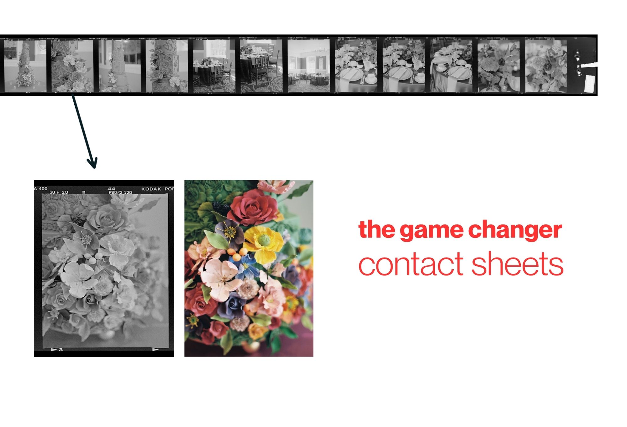 best film lab Film contact sheet included with film developing service for easy image review